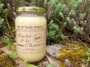 Miel de Tilleul crémeux