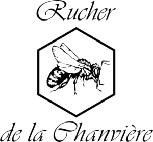 Logo, abeille simple sans couleur de profile dans un hexagone