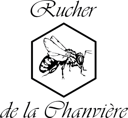 Logo, abeille simple sans couleur de profile dans un hexagone