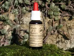 Propolis solution hydroalcoolique