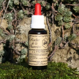 Propolis solution hydroalcoolique